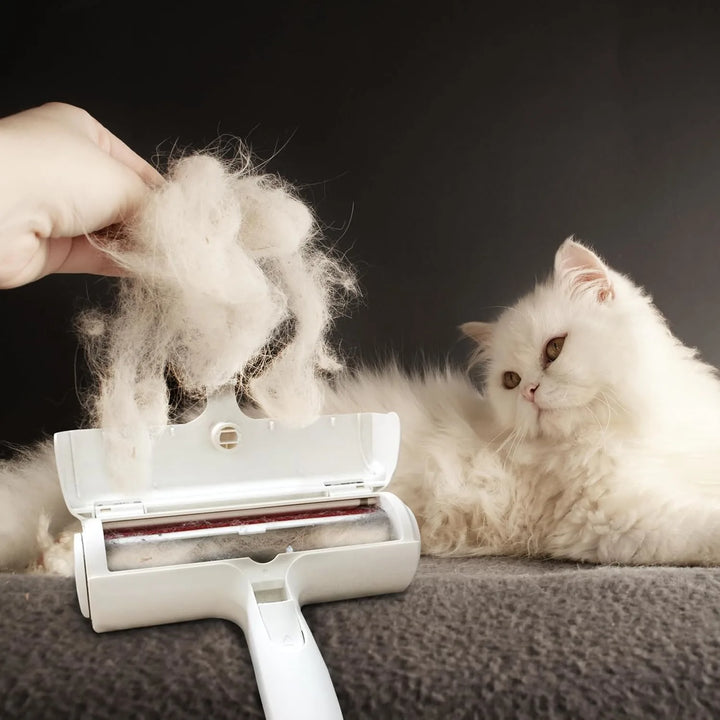 Pet hair remover for car seat and interior fabric