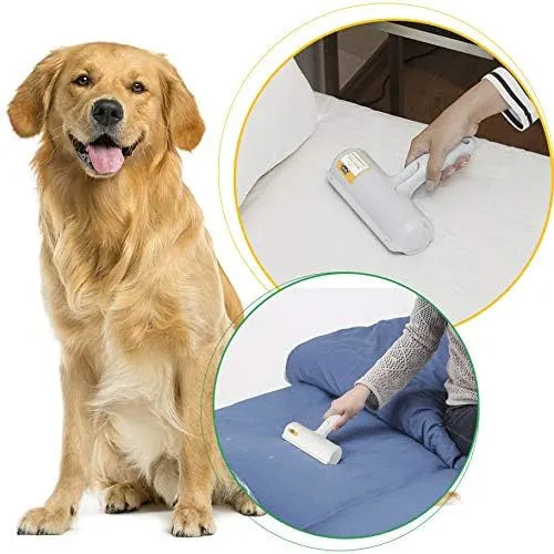 Pet owner cleaning sofa with reusable lint brush