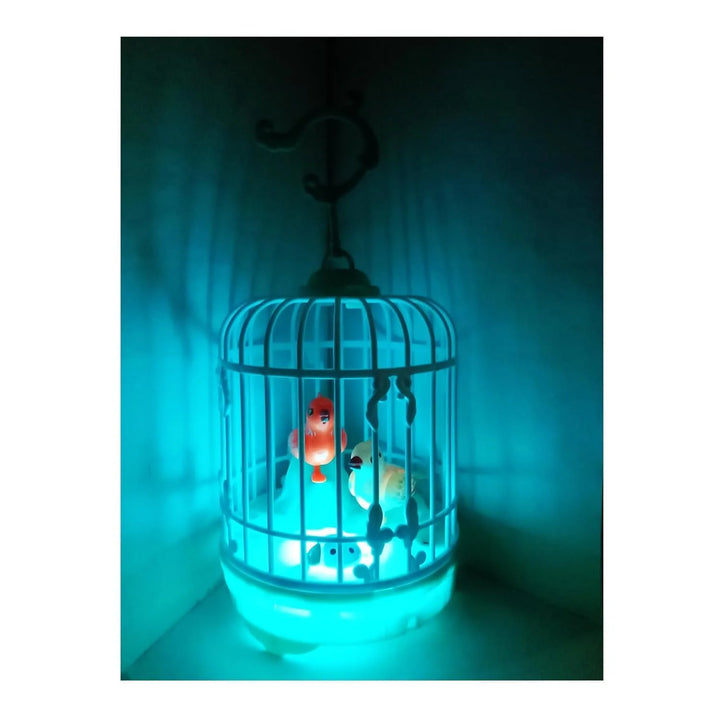 Unique birthday gift for toddlers – bird cage toy

